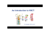Introduction to HSCT