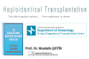 Haploidentical Transplantation 