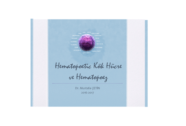 Hemapoetik Kök Hücre ve Hematopoez 