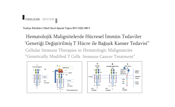 Genetiği Değiştirilmiş Hücreler ve CAR T Hücre,