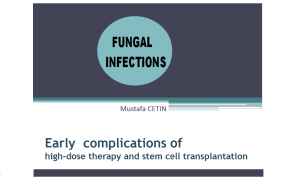 FUNGAL INFECTIONS IN HEMATOPOETIC STEM CELL  TRANSPLANTATION 2017