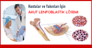 HASTALAR VE YAKINLARI İÇİN AKUT LENFOBLASTİK LÖSEMİ