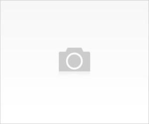 Kemik İliği nedir?