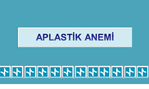 Aplastik ve Hipoplastik Anemiler